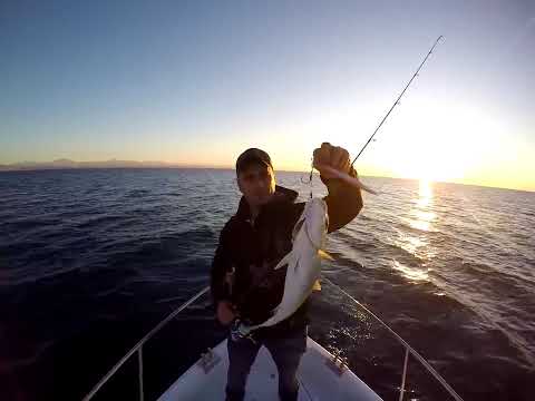 Kısa Sabah Suyu Vertical Jigging Avının Nasipleri
