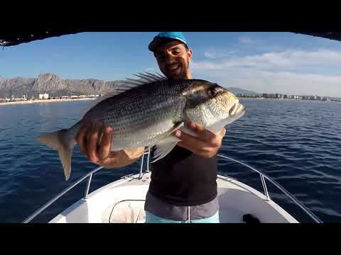 Antalya nın Kayıp Güzelini Yakaladık Dentex On Soft Lure