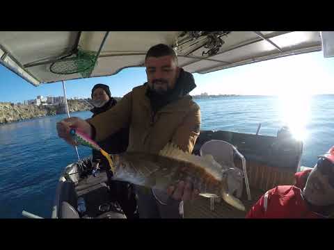 Slow Jigging Yöntemi İle Ak Lahoz Avı ve Salımı
