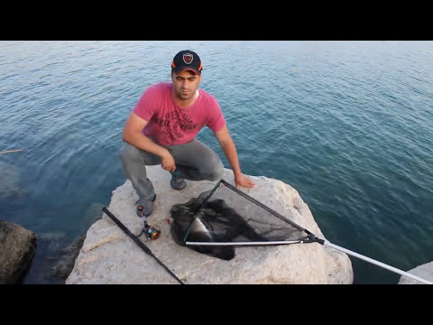 Kıyıdan Lahoz Avı