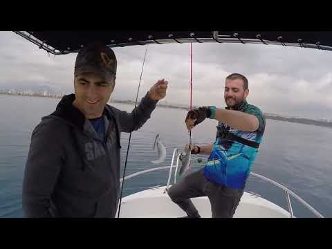 Rüya Gibi Bir Light Jigging Avı 48 Parça Balık