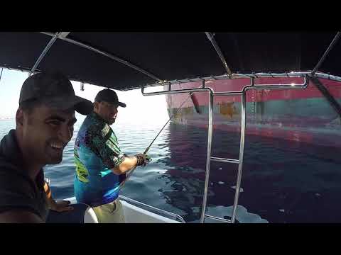 Antalya nın En Nadir Balığını Yakaladık Devlerle Dolu Bir