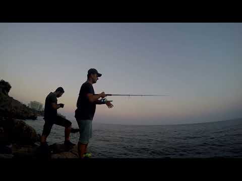 Shore Jigging İle Gelen Sevimli Ahtapot