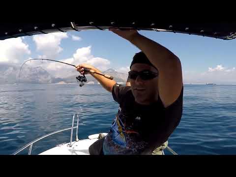 LRF Takımlarıyla Adrenalin Dolu Bir Av LRF Little Tunny Fun
