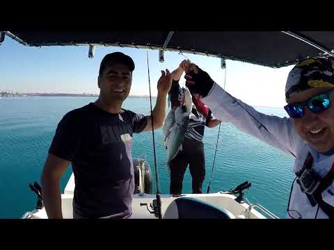 Light Jigging İle 3 Saatte 69 Parça Balık Fragman