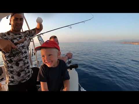 Canavar Balon Balıkları ve Derinden Gelen Devler Catch Cook