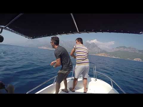 Lambukalar İrileşmeye Başladı Dorado Fishing Fun
