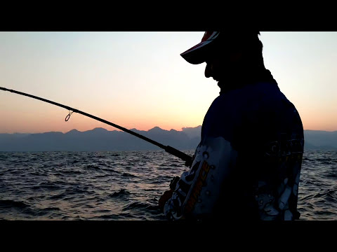 Bottan Shore Jigging Takımları İle Yazılı Orkinos Avı