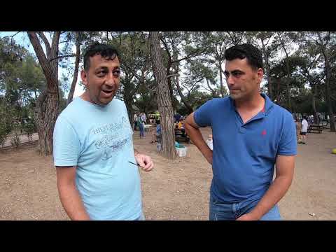 Dünyanın Tek Beyaz Etli Orkinosu Clean Cook Rahatlatıcı