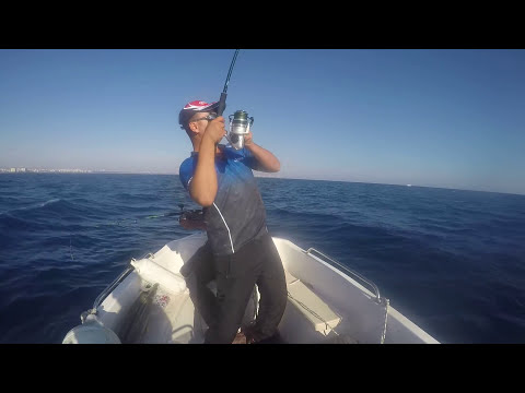 Tekneden Shore Jigging İle Yazılı Orkinos Little Tunny Live