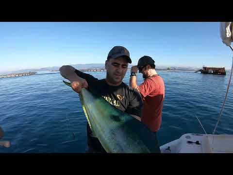Hayatımın En Büyük İkinci Lambukası Bodrum Bereketi