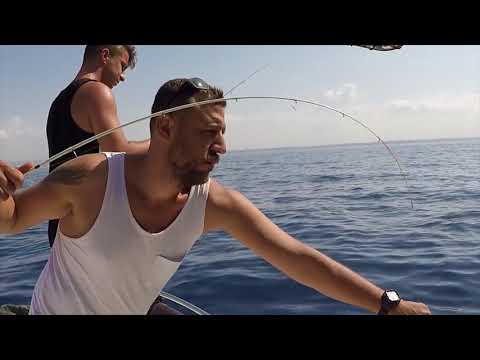Bol Çeşitli Film Tadında Bir Av A Fishing Morning With Lots