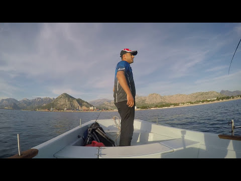 Tekneden Shore Jigging İle Yazılı Orkinos Little Tunny