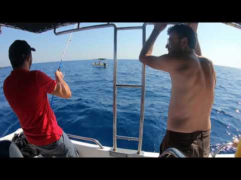 Canlı Yemle Dev Balık Yakaladık Giant Fish On Live Blue