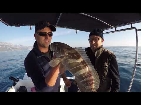Bol Çeşitli Bir Jig Avı 1 Jigle 4 Farklı Tür