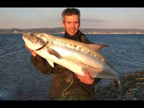 Orta Siklet Takımla 20 ve 25 Kiloluk Rekor Akya Liça Giant