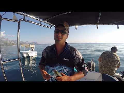 Dev Balık Canımıza Okudu Monster Fish Challenge