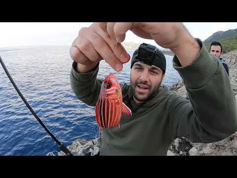 Kıyıdan Rengarenk Balıklar Yakaladık Doğada Yakala Pişir