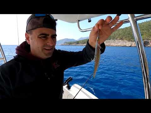Gizli Yemle Dev Balık Yakaladık Denizde Kamp 2 Gün