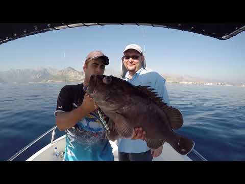 Savage Gear Squish Jig Best Slow Jig Ever