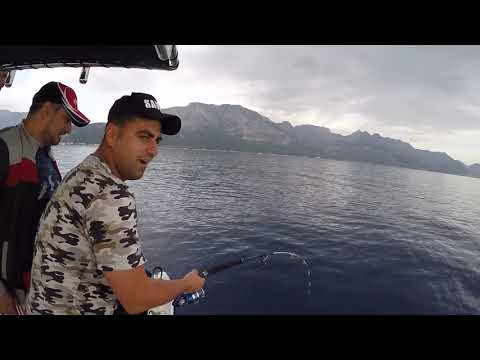 Jigle Dev Balık Yakaladık Giant Amberjack Jigging Day