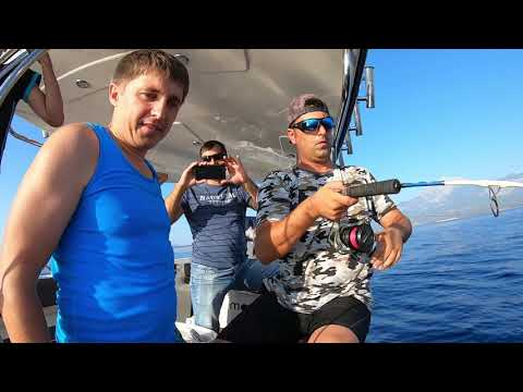 İğneyi Çıkarırken Balık Kolumu Isırdı Giant Amberjack Day