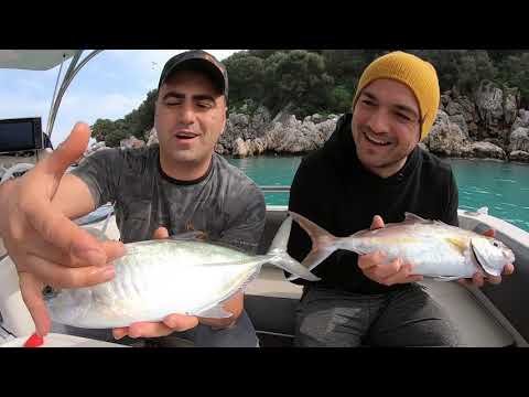 Balık Yakala Ya da Aç Kal Deniz Balık ve Huzur Catch Clean