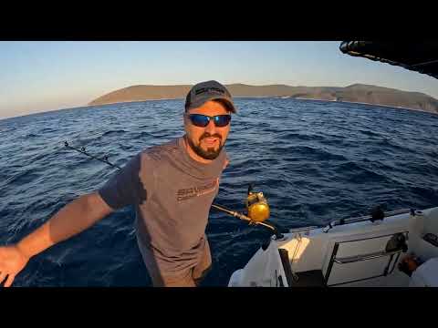 Orkinos Sezon Açılışımız Efsane Oldu Giant Blue Fin Tuna