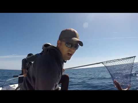 Antalya da Jigle İnanılmaz Trança Avı Pink Dentex Jigging