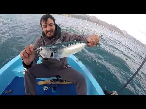 Dev Sinaritli Ve Bol Balıklı Bir Vertical Jigging Avı