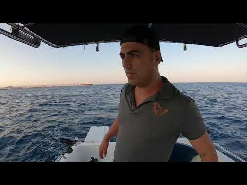 Savage Gear Swim Squid Kalamarları Test Ettim Balıklar