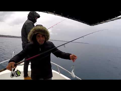 Çok Keyifli Bir Light Jigging Avı 56 Parça Balık