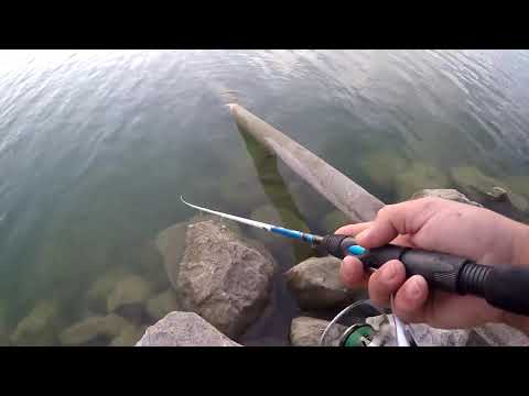 Metal Vibrasyon Yemi ile Tatlı Su Levreği Şov Fastest Perch