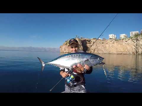 Savage Gear Squish Jig İle Süper Balıklar Tuttuk