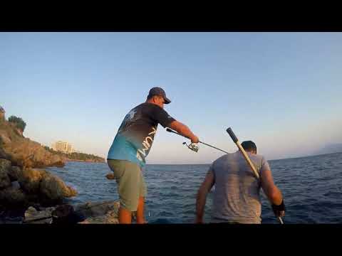 Antalya Falezler Light Shore Jigging Yazılı Orkinos Avı
