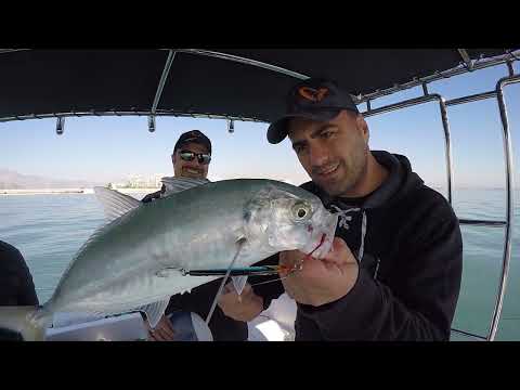 Light Jigging İle Kış Bereketi Beklediğimiz Sürüler Geldi