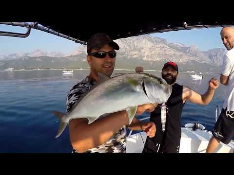 Kuzu Sürülerini Bulduk We Found The Amberjack Schools