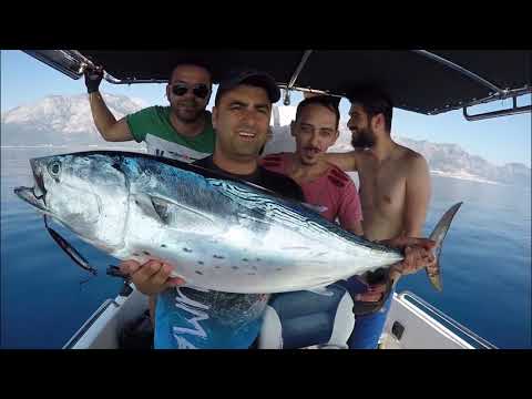 Savage Gear 3D Slim Minnow Jig Best Vertical Jig Ever