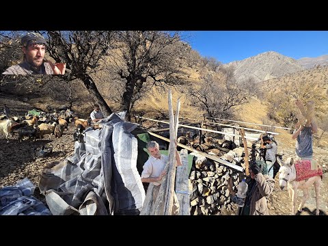 Survival Test When Nomadic Life Requires Speed