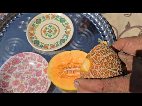 Iran nomadic Life Planting Harvesting and Cooking a Natural