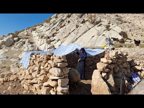 Jahangir and Maryam trying to cover the roof of the sheep