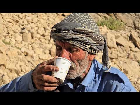 Harvesting Wild Almonds in the Cold Forests A Journey into