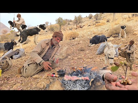 Adventurous Journey Jahangir s Hard Work Planting Oaks to