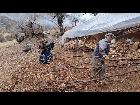 Wooden Adventures Travel to the mountains to build huts and