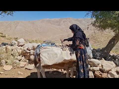 Iran nomadic life Maryam and herding sheep a story of