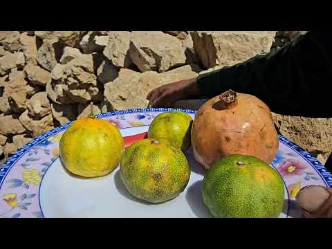 Building a strong wall for a donkey shelter in the