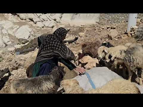 Nomadic Life A documentary about the life of Iran nomads in