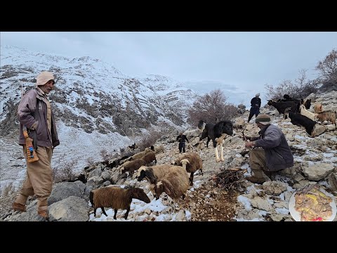 Hard Snowy Days Sheep Care and the Challenges of Nomads in