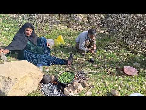 A Journey into the Heart of Nature Gathering Natural Plants