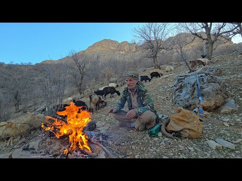 Nomadic life in the heart of Zagros Adventure with a flock